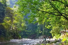 Bukit lawang